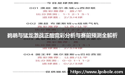 星空官网