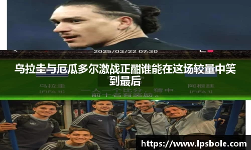 星空体育网站入口